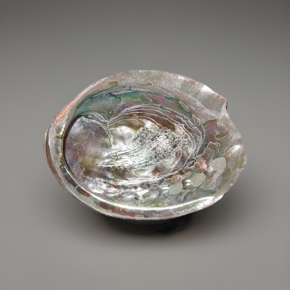 Iridescent Natural Abalone Sea Shell Large 8" x 6" Opalescent Boho Beach Decor